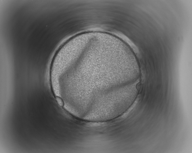 X0000101701240200807311425