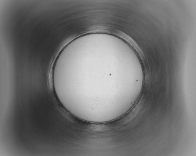 X0000101701242200807311425