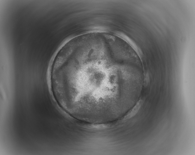 X0000101701243200807311425