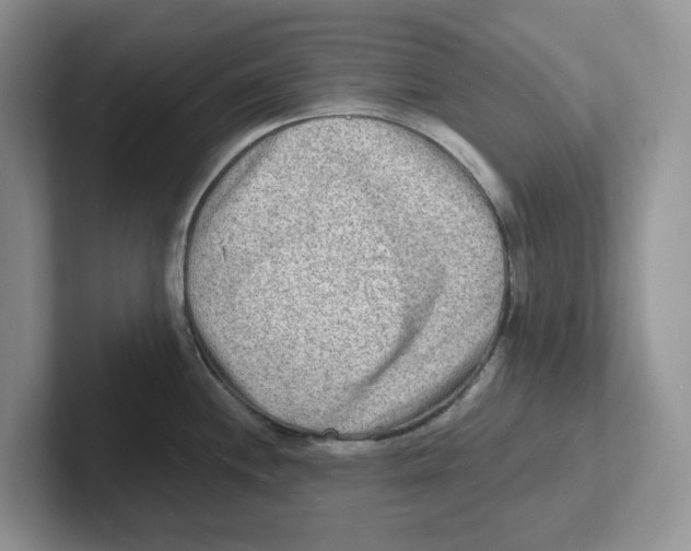 X0000101701244200807311425