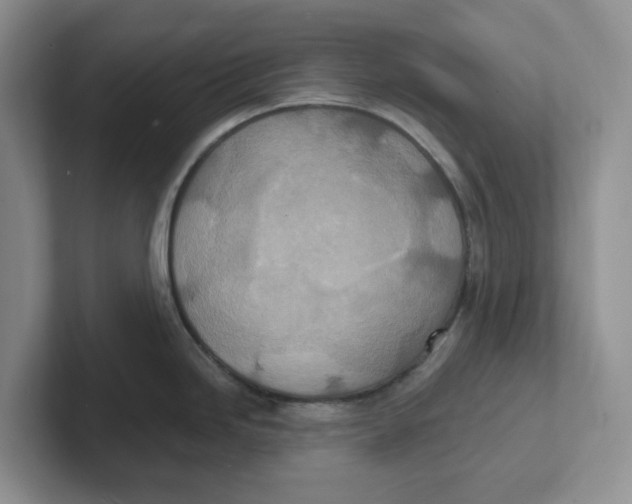 X0000101701246200807311425