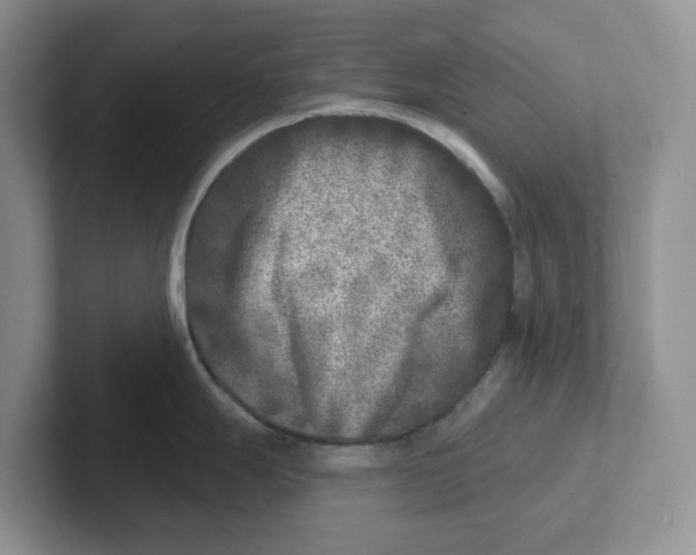 X0000101701247200807311425