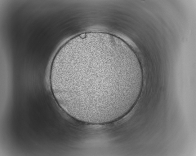 X0000101701248200807311425