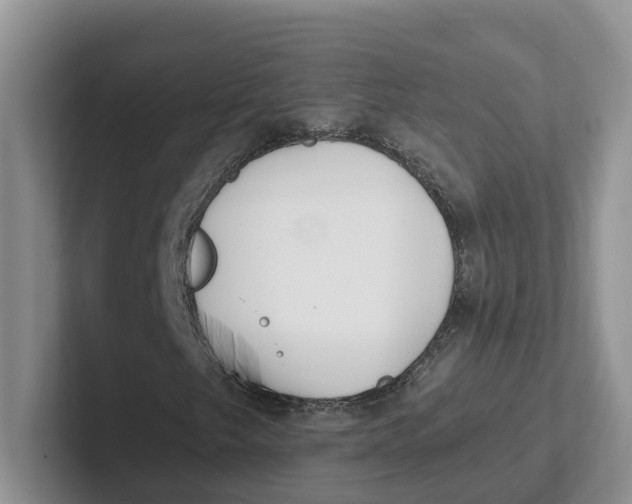 X0000101701249200807311425