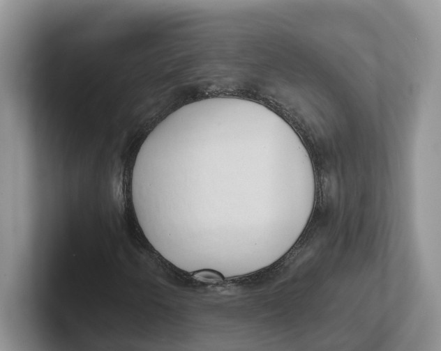 X0000101701250200807311425