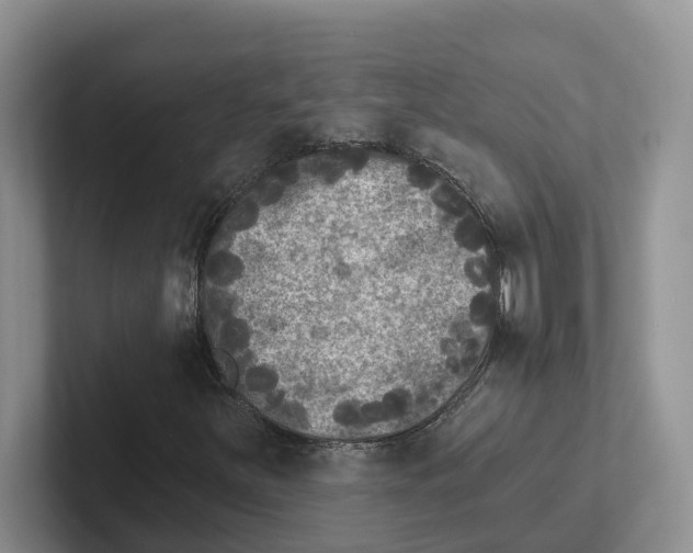 X0000101701251200807311425