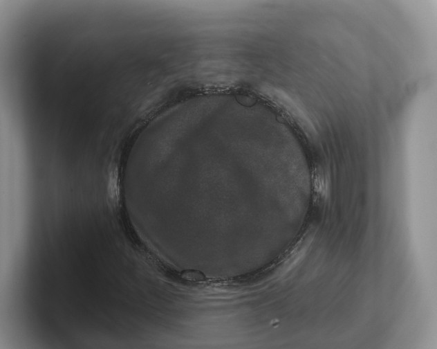 X0000101701252200807311425