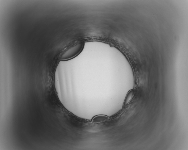 X0000101701253200807311425