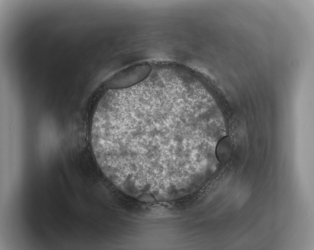 X0000101701255200807311425