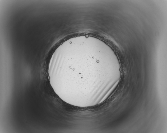 X0000101701256200807311425