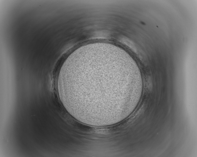 X0000101701258200807311425