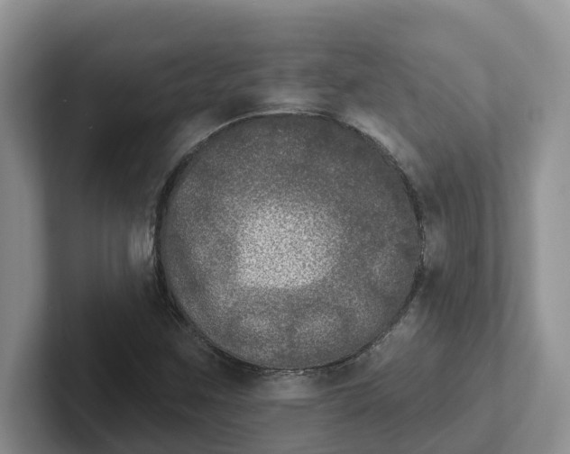 X0000101701259200807311425