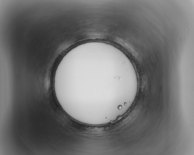 X0000101701261200807311425