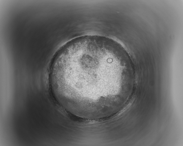 X0000101701263200807311425