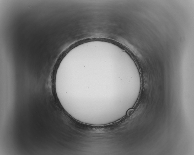 X0000101701264200807311425