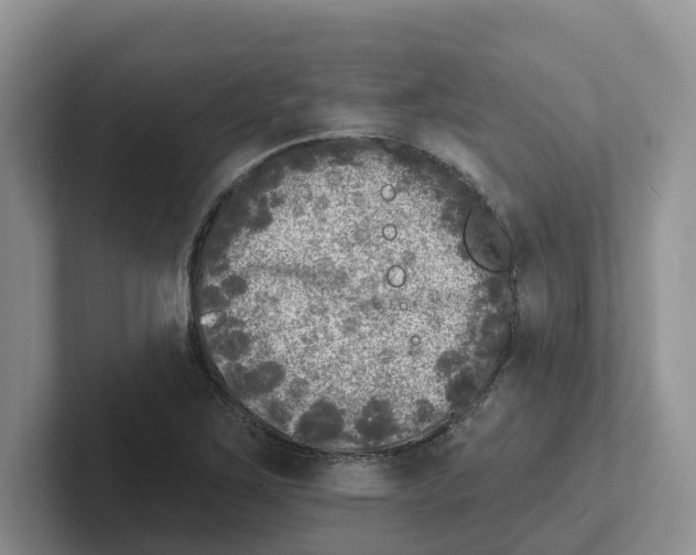 X0000101701267200807311425