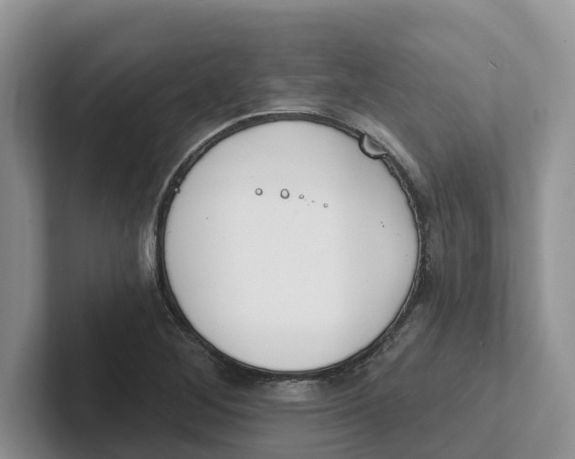 X0000101701268200807311425