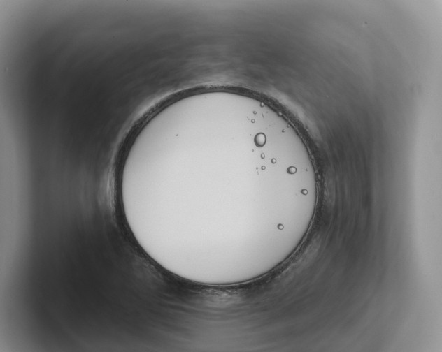 X0000101701270200807311425