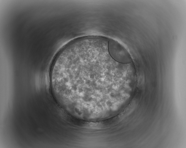 X0000101701271200807311425