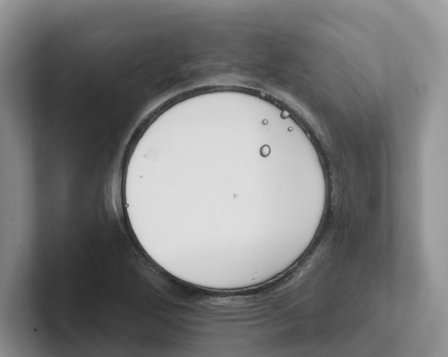 X0000101701272200807311424