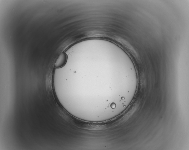 X0000101701273200807311424