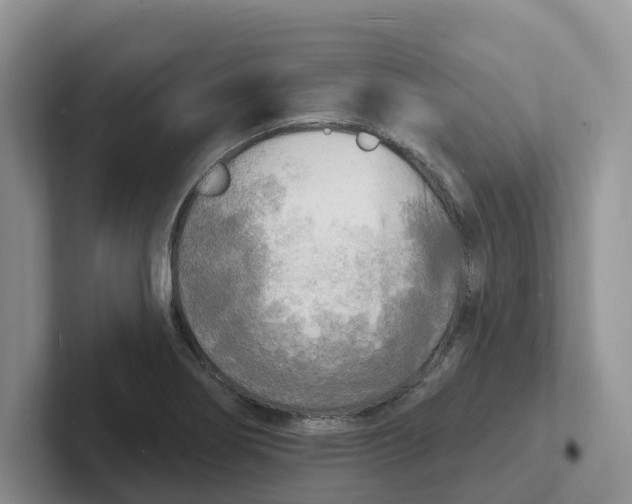 X0000101701274200807311424