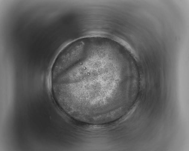 X0000101701275200807311424