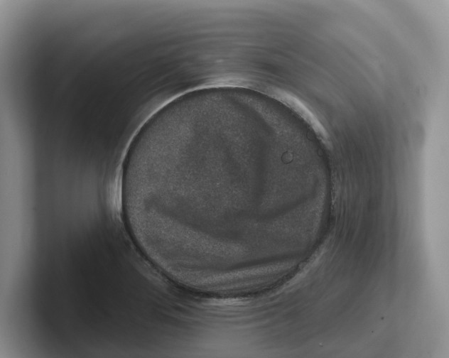 X0000101701276200807311424