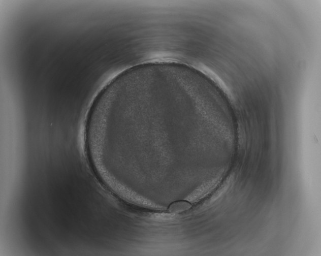 X0000101701277200807311424