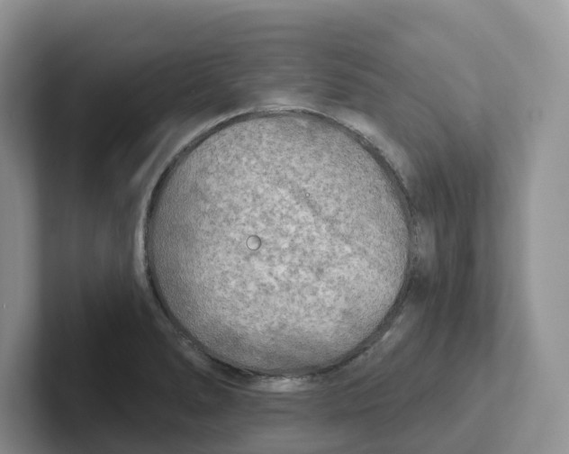 X0000101701278200807311424