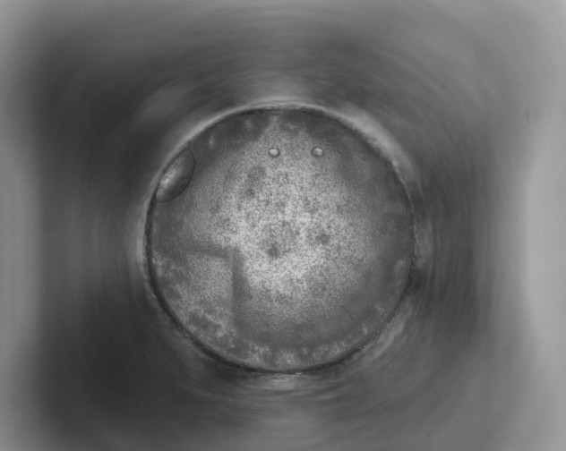 X0000101701279200807311424