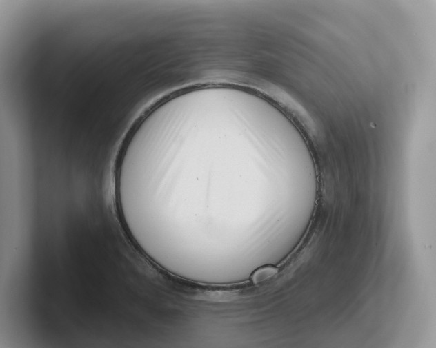 X0000101701280200807311424