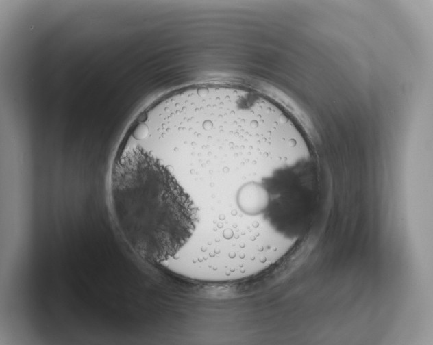 X0000101701283200807311424