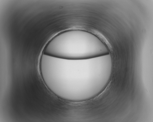 X0000101701284200807311424