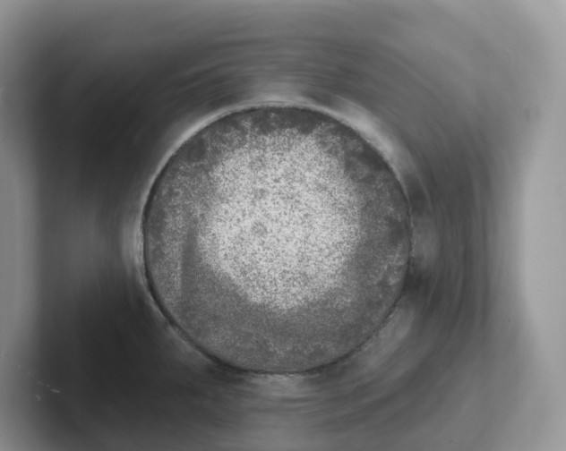 X0000101701287200807311424