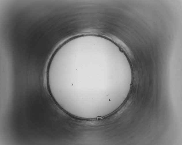 X0000101701288200807311424