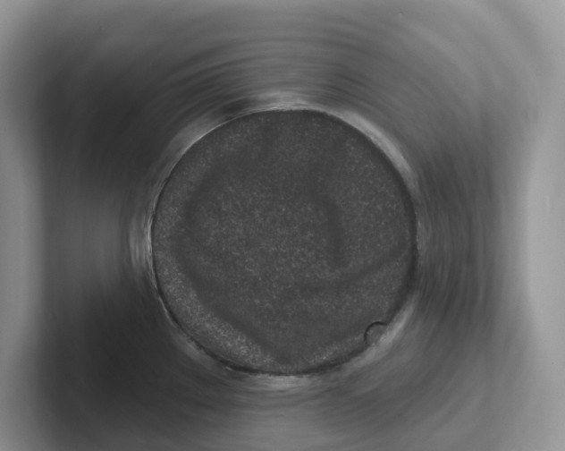 X0000101701289200807311424