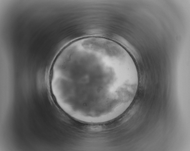 X0000101701291200807311424