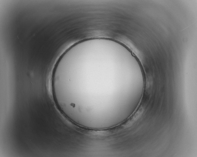 X0000101701293200807311424