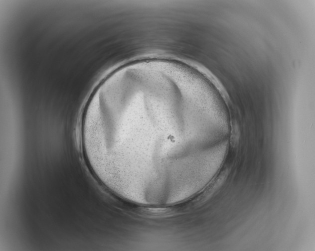 X0000101701295200807311424