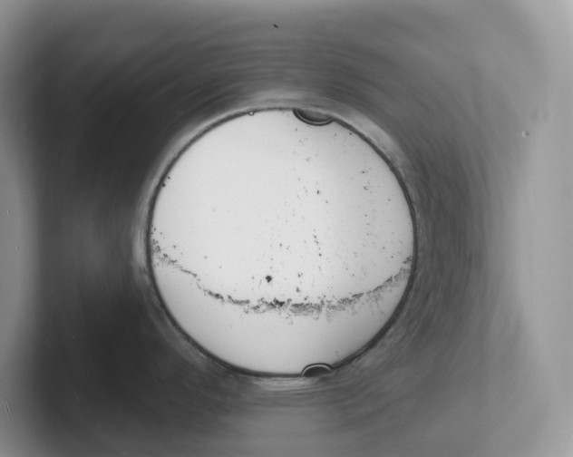 X0000101701296200807311424