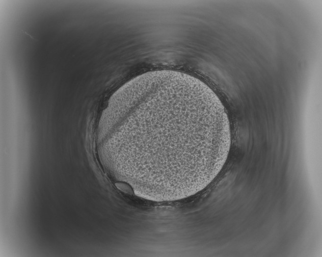 X0000101701297200807311424