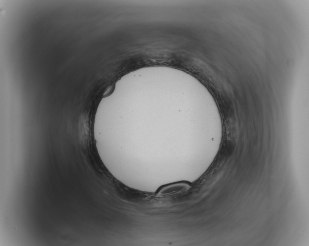 X0000101701298200807311424