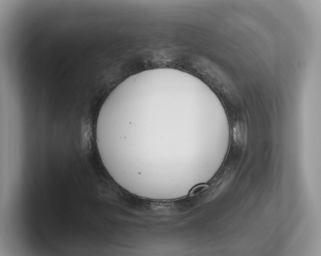 X0000101701299200807311424