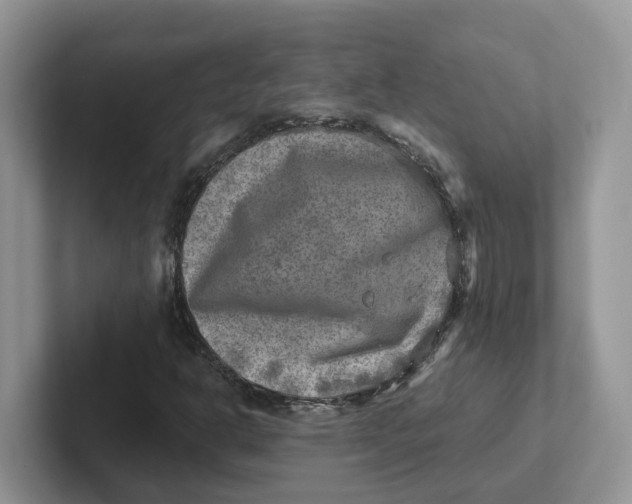 X0000101701302200807311424