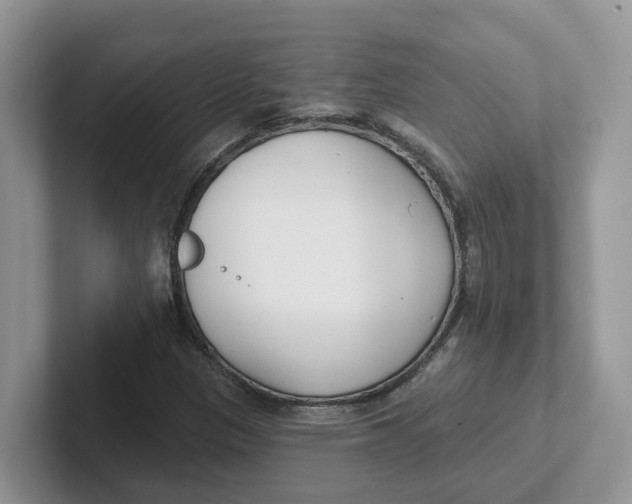 X0000101701305200807311424