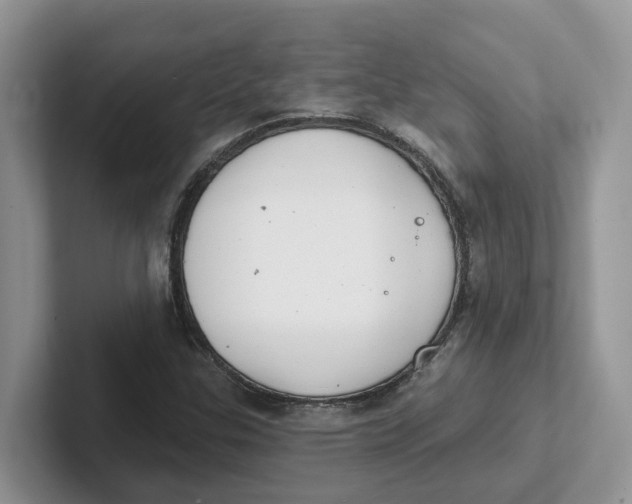 X0000101701307200807311424