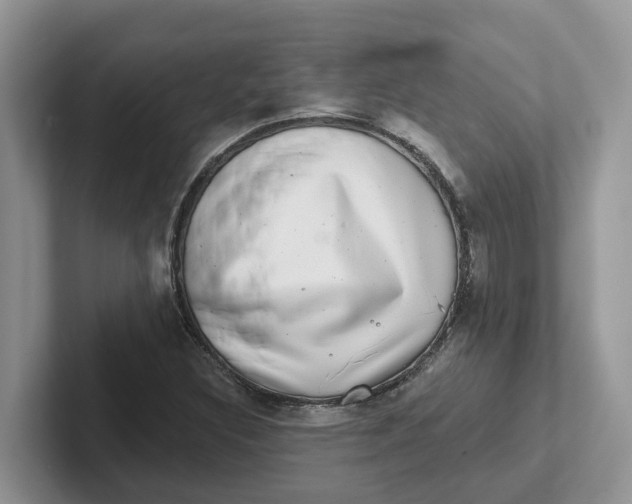 X0000101701308200807311424