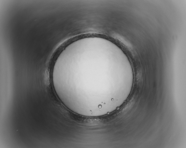 X0000101701310200807311424