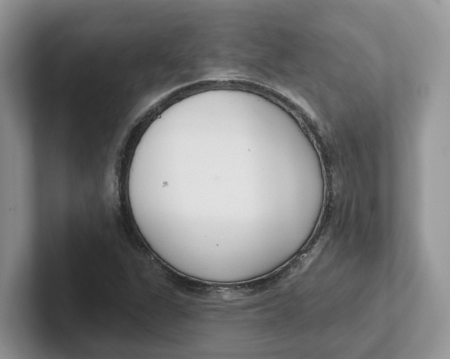 X0000101701311200807311424